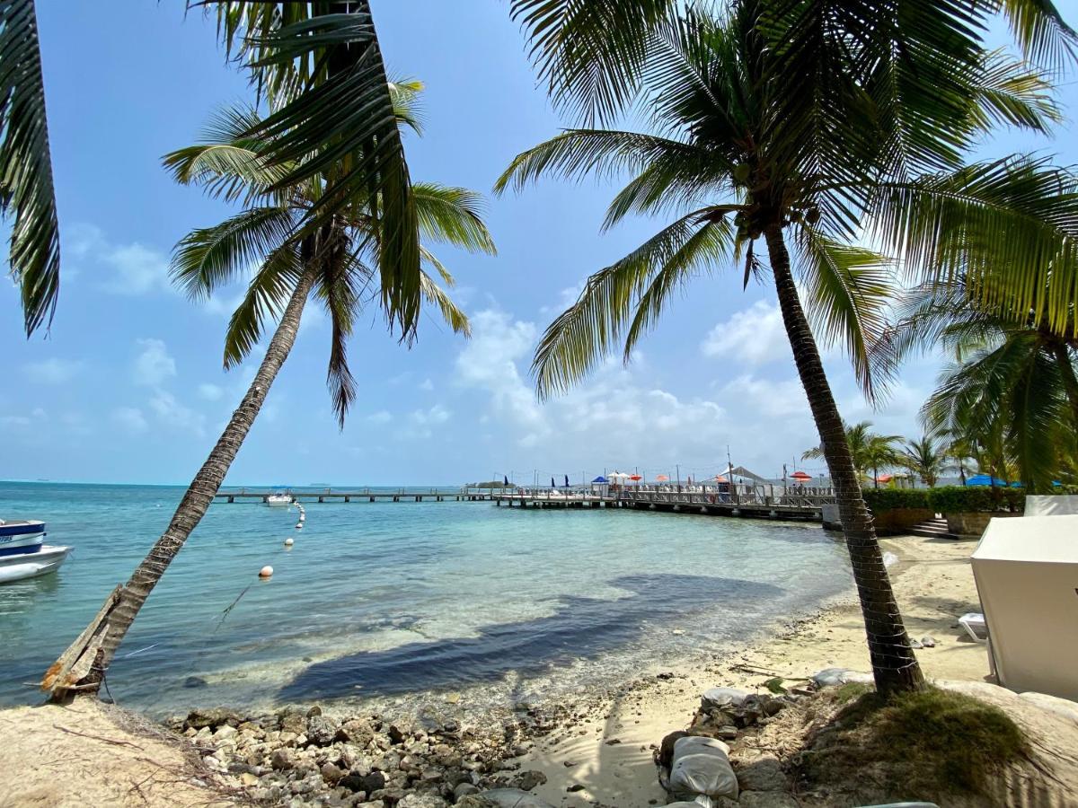 Exclusivos Apartamentos Con Playa Privada San Andres  Bagian luar foto